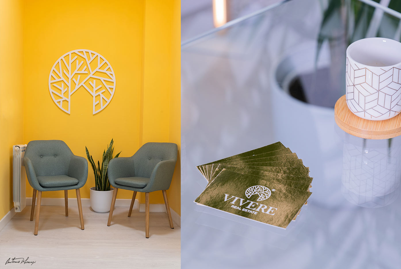 VIVERE Real Estate